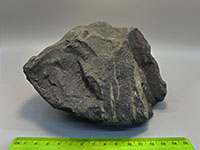 a dark gray, rugged rock with no visible crystals.